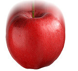 http://www.msim.org.uk/images/Red-apple-fallingWEB.jpg
