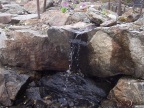 Water running through Troms University's Arctic-Alpine Botanical Garden