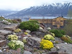  View across the Botanical Gardens to the mountains behind Troms