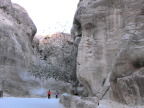  The Siq, the ravine entering Petra, was carved long ago by wind and water