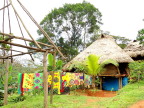  The colorful wash is out to dry at the Embera village thatch-roofed hut - Panama