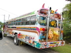  Gaily painted private buses provide cheap transportation in Panama City