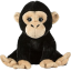 toy stuffed monkey