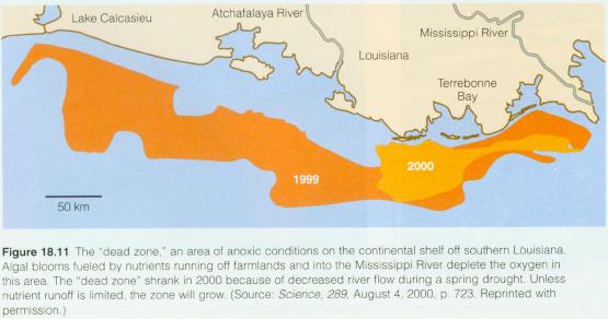 dead zone in the carribean