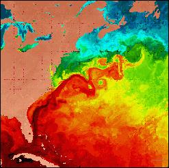 Today's gulf stream imagery