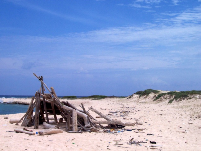  An erstwhile driftwood shelter on Boca Grandi, Aruba