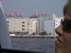  Cranes watched as we departed to cruise the Sumida river, Tokyo