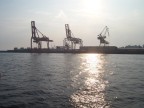 Really big cranes in Osaka harbor.