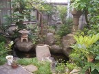 The garden at our ryokan was tiny, but incredibly diverse