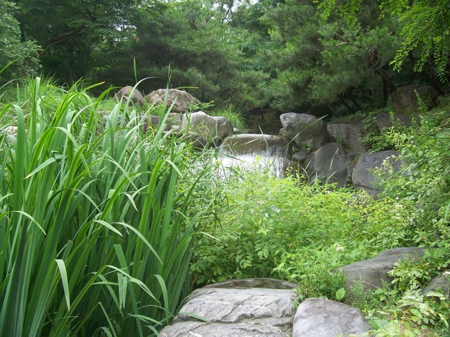 A stream in the park...