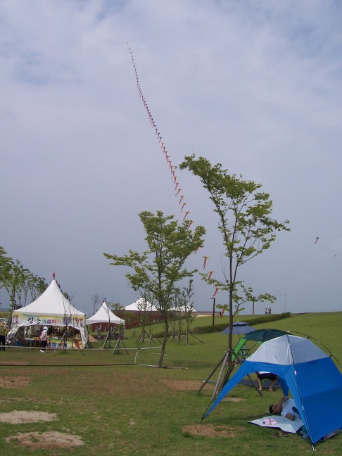 Kites reach to heaven.