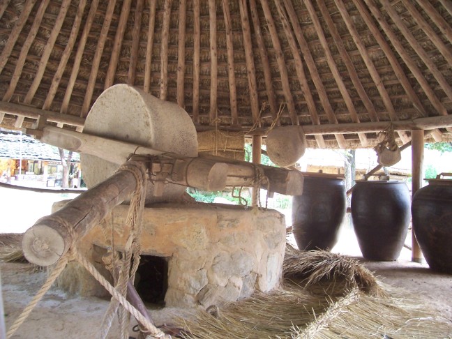 Rice mill. Oxen pull the bar and the wheel rolls around, crushing the grains.