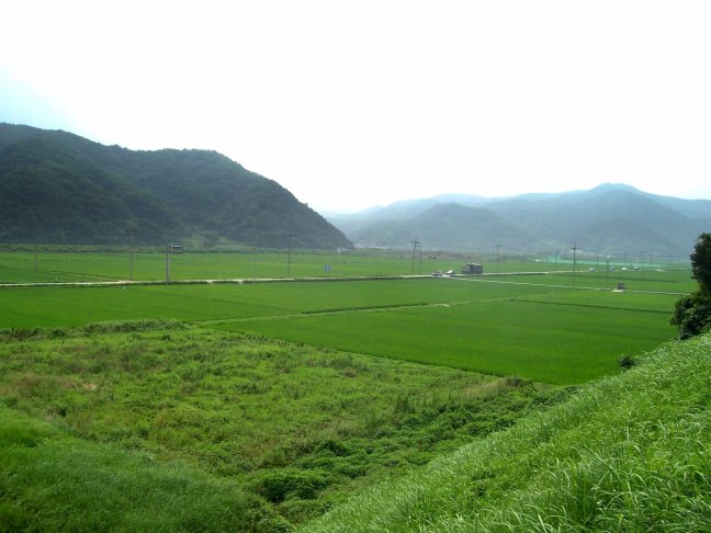 View from the temple of the road, the rice fields, and the mountains beyond.