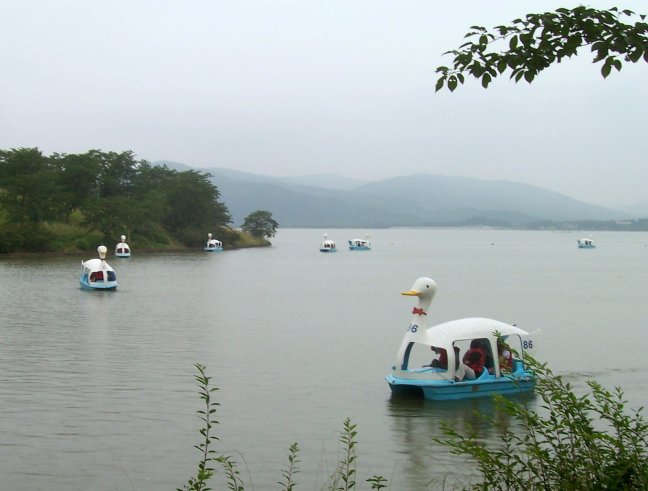 Many enjoyed boating on Bomun lake, in front of the Hilton.