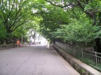  The last hill up to Seoul Tower.