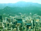  Downtown is North from tower. "Blue House" is center of left edge.