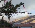  Kantuta, Peru's national flower, and a rainbow