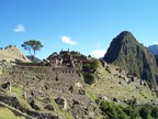  Worker's area on the east side, with lone tree and Huayna Picchu