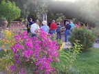  Flowers in the garden of Seminario Ceramics