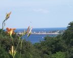  Lilies in the foreground of the view from Sarah's garden