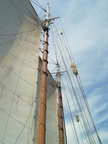  The fluffy bits are to protect the sail where the line in it would rub against the halyard