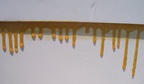  Glue drips from a railing cap on a modern building; such slop would not be tolerated in ship building