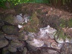  Rocks embedded in the bank below the falls