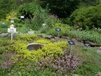  Plenty of thyme in the Berkshire Botancal Garden