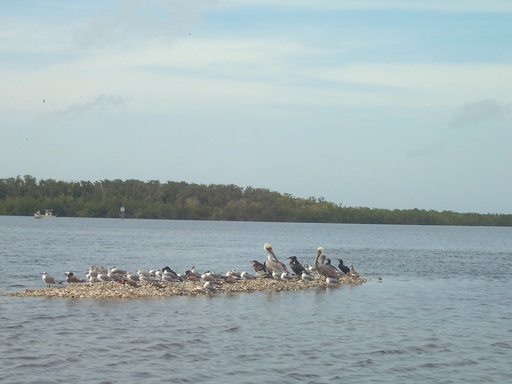 Fred called this "Bird Island." It was smaller, but still there when we returned.