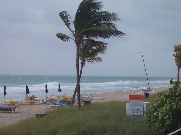 On the beach behind Sheraton Bal Harbour, Miami