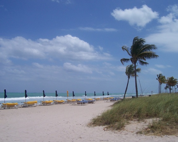 Furled umbrella palisade, waving palms, beach, clouds, Bal Harbour, Miami