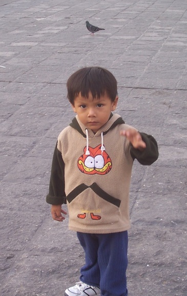 Boy and pigeon, Plaza de Armas, Lima