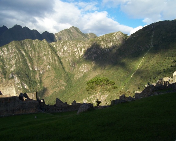 The lone tree at dusk, Machu Picchu