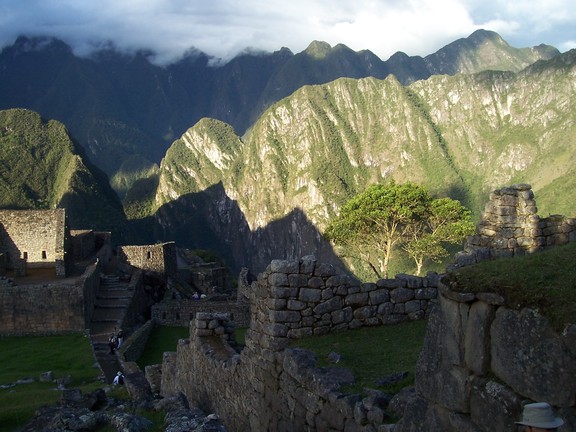 The lone tree at dusk, Machu Picchu