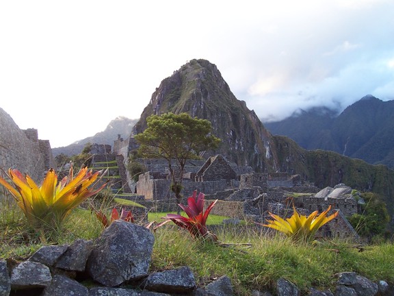 Bromeliads, the lone tree, worker area (on the east side), and Huayna Picchu