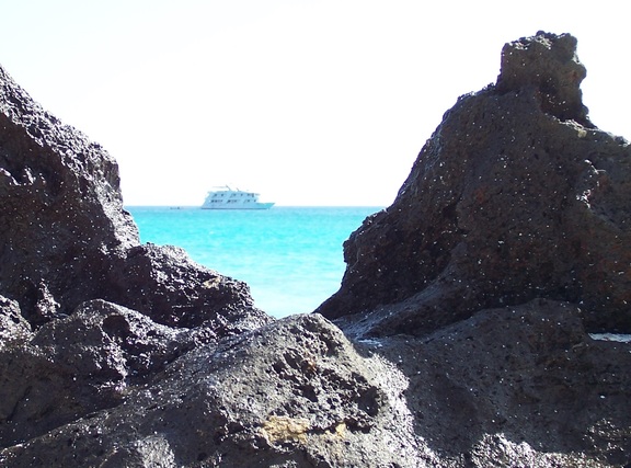 Carina seen nestled in a rocky vee, Espanola, Galapagos