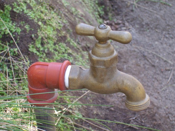 This mundane fitting is essential to the beauty around it at the Botanical Garden, Quito