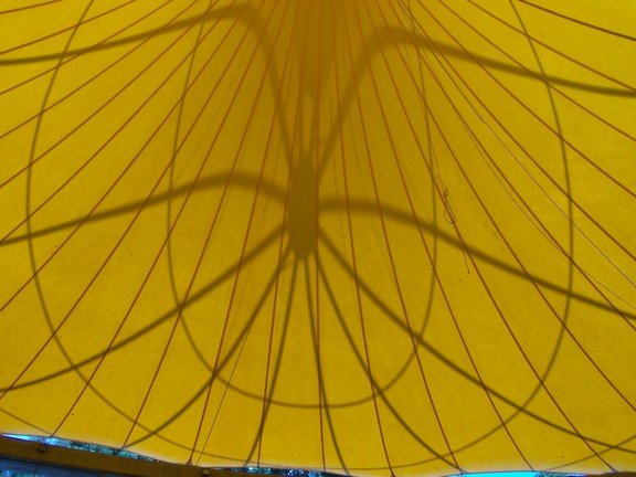 The hothouse entrance in the Botanical Gardens, Quito, sports a conical roof, seen here from the inside