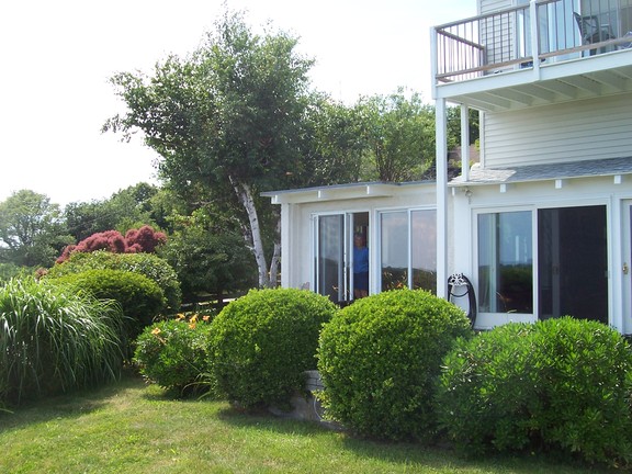 Sarah looks out on her view and garden