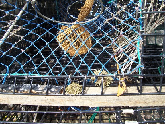 Rockport is an active fishing port; here is a detail of a lobster trap