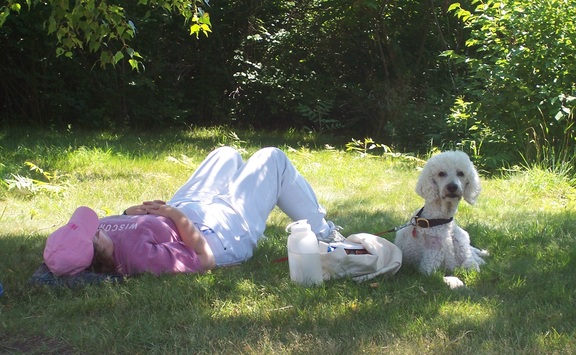 Standing guard while his owner sleeps in the shade near the quarry, Rockport, MA