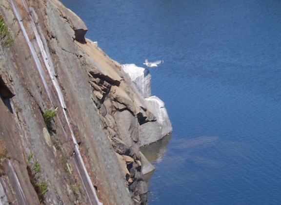 Gulls rest on cleft left by quarrying
