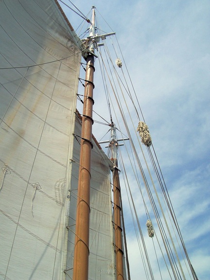 The fluffy bits are to protect the sail where the line in it would rub against the halyard