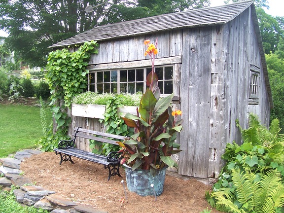 Shed with flower at Berkshire Botancal Garden