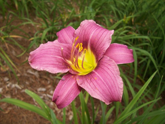 Berkshire Botanical Gardens, Stockbridge, MA