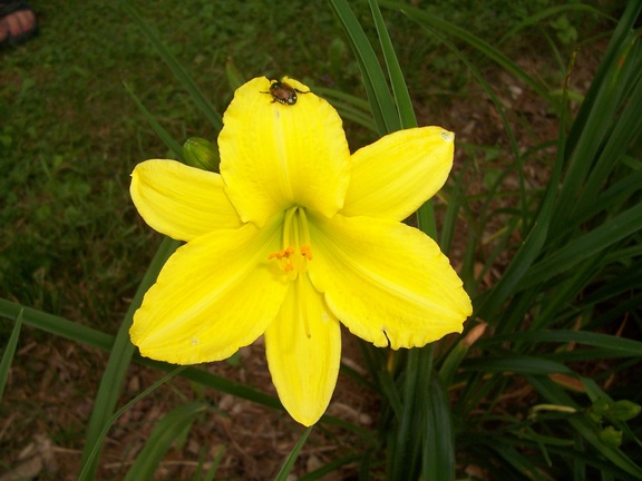 Berkshire Botanical Gardens, Stockbridge, MA