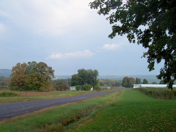 Looking east from the farm