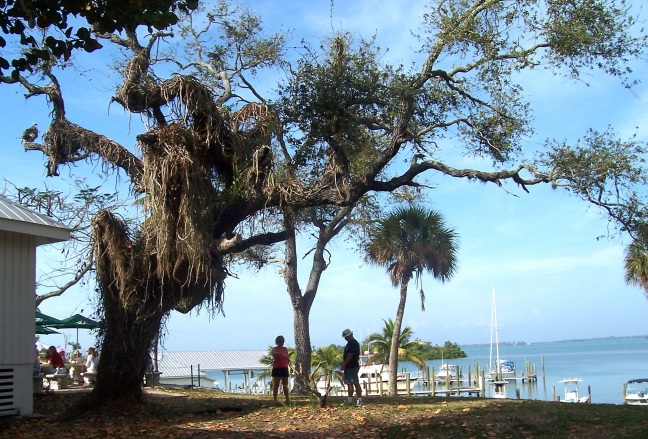 Hamburgers by boat at Cabbage Key