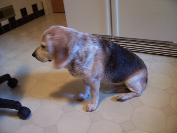 Waiting for food in the kitchen