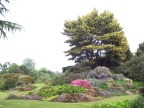  Flowers and trees at the Royal Botanical Gardens